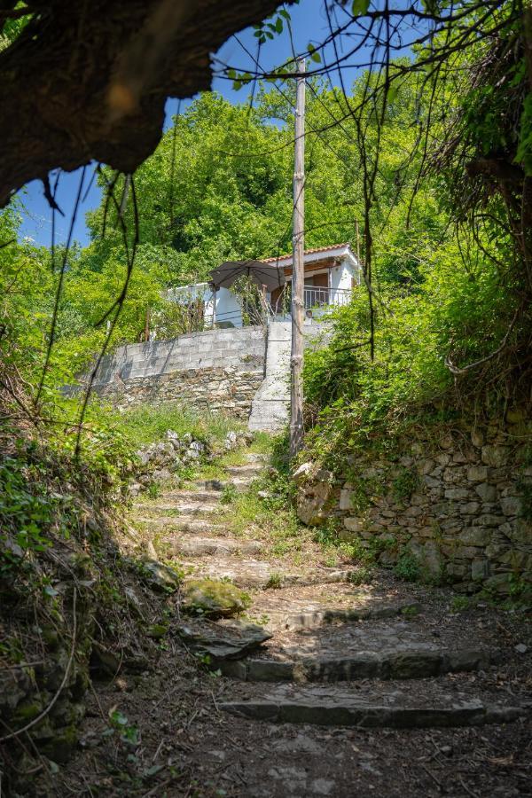 Pelion House With Stunning View To Relax Villa Vizitsa Exterior photo